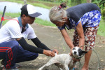 Wabah rabies menjadi prioritas Pemerintah Kabupaten (Pemkab) Buleleng