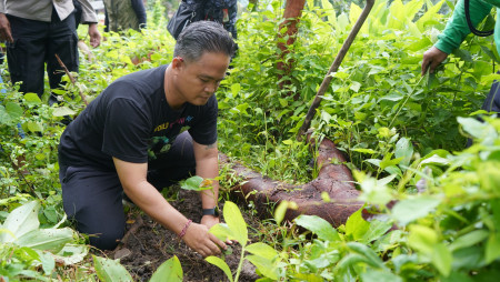 Jaga Kelestarian Hutan dan Sumber Air, 88 Pohon Ditanam di Desa Lokapaksa